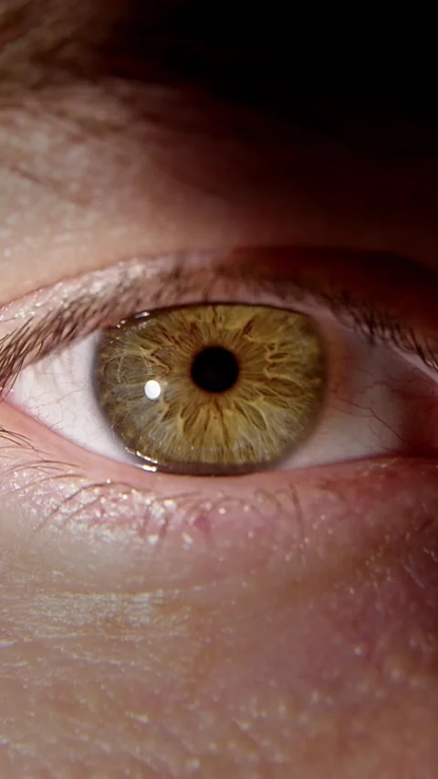 A close up of a green eye with a teary iris and a black circle around the iris Stock Footage 303525706