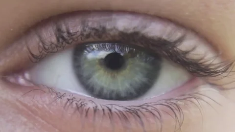 Close up of green eye/eyelashes with clear reflection of sky and trees in iris Stock Footage 83841170