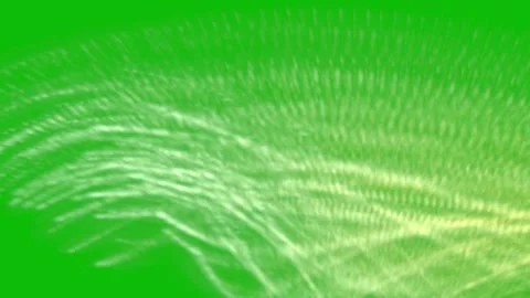 A close-up of a green feather with white lines Vídeos de archivo 331103085