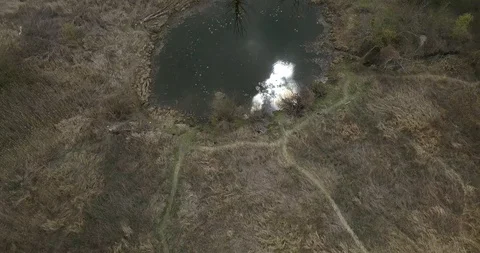 A close up of a green field Video stock 130110962