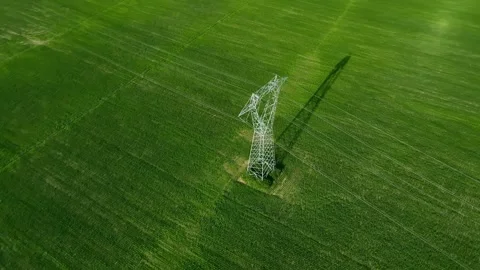 A close up of a green field Vidéo 156845748