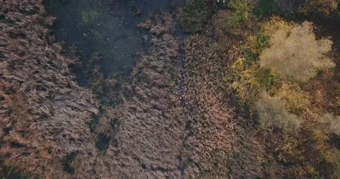 A close up of a green field Vídeos de archivo 202156193