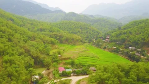 A close up of a green field with a mountain in the background Stock Footage 156338876