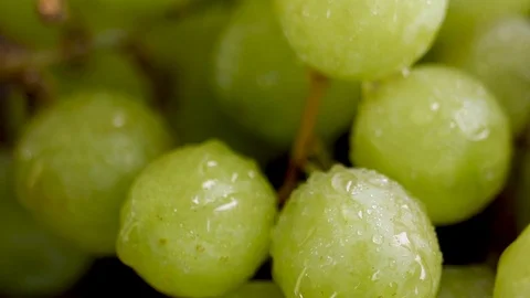 Close up green grapes Stock Footage 102176897