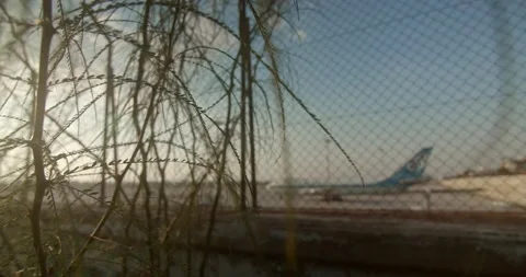 Close up green grass on front and  barbed wire netting and old abandoned Vídeo Stock 141966889