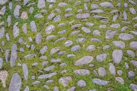 Close-up of green grass growing through the cobbled footpath at the center .. Foto stock