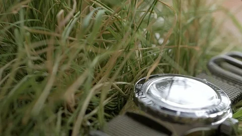 Close-up on the green grass lie a diving watch with an emphasis on the movement 스톡 동영상 107687222