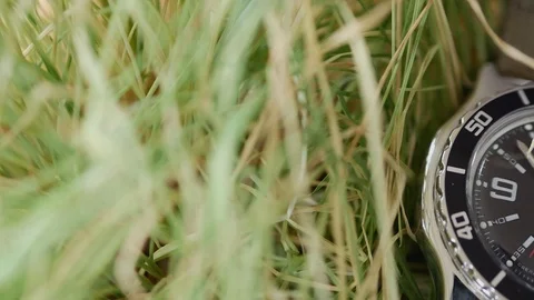Close-up on the green grass lie a diving watch with an emphasis on the movement Stock Footage 107699363