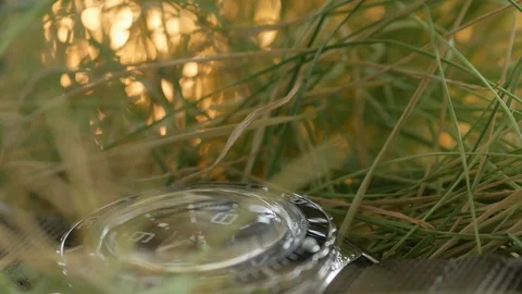 Close-up on the green grass lie a diving watch with an emphasis on the movement Stock Footage 107700042