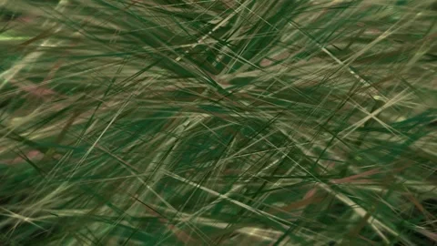 Close up of a green grass lines particles on dark color animation background Stock Footage 273895285