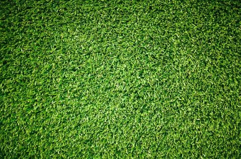 Close up  Green grass texture background Stock Photos