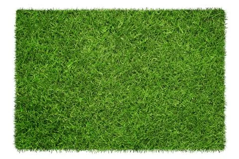 Close up of green grass texture, background isolated on white background Foto stock