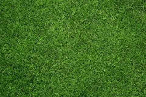 Close up of green grass texture, background with copy space Stock Photos