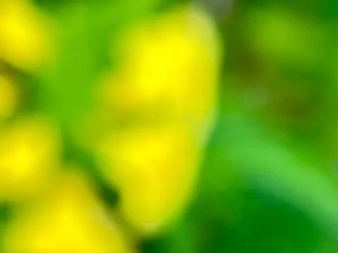 Close-up of green leaf background (1) Photos