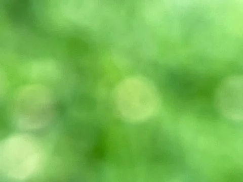 Close-up of green leaf background (4) Stockfoto's