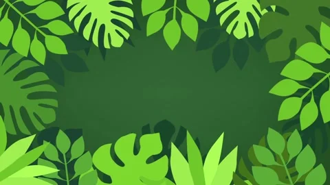 Close up green leaf background with copy space for text,summer vacation in tropi Stock Footage 149952379