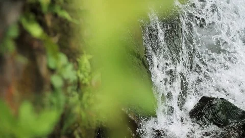 Close up green leaf background small waterfall in a deep forest nature rock Stock Footage 99370682