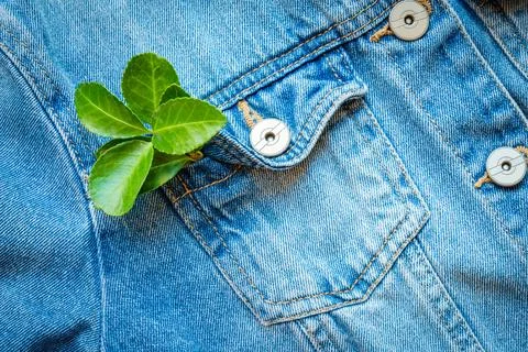 Close-up of a green leaf in a blue denim jacket pocket. A concept of sustai.. Stock Photos
