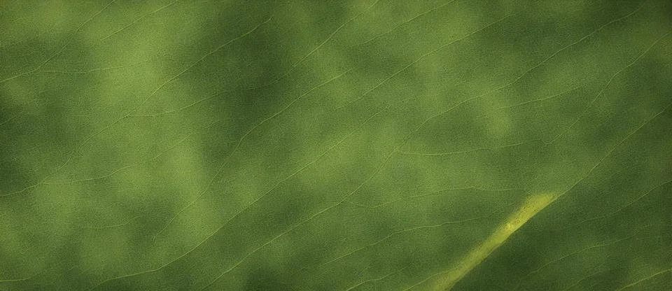 A Close Up Of A Green Leaf With A Blurry Background, Beautiful Abstract Textu 库存插图