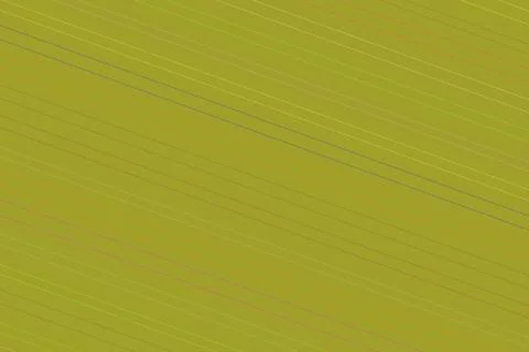 Close-up of green leaf with fine lines and textures 库存插图