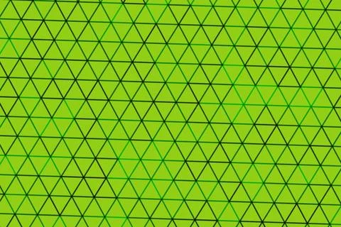 Close-up of green leaf with geometric pattern and veins 스톡 일러스트