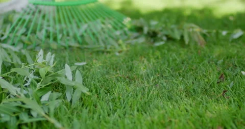 Close-up of green leaf rake gathering grass clippings and branches on a lawn Stockbeeldmateriaal 329291619