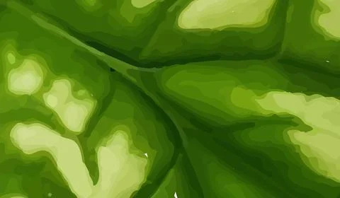 Close up of Green Leaf Texture background Stock-Illustration