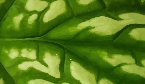 Close up of Green Leaf Texture background Stock-Illustration