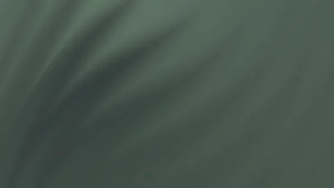 Close-up of green leaf veins highlighting natural plant textures Stock Footage 314693736