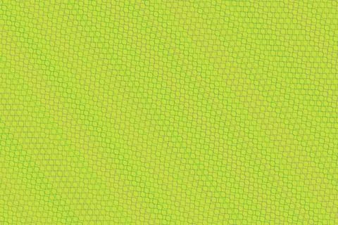 Close-up of a green leaf with water droplets Stock Illustration
