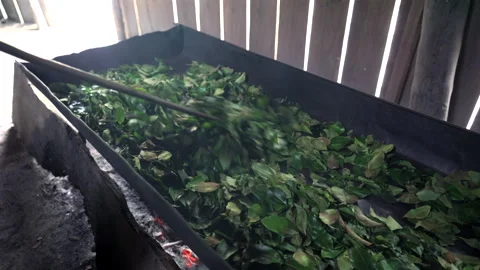 Close up of green leaves being roasted on large metal pan over wood fire Stock Footage 343013963
