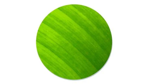 Close up green leaves texture in circle frame shape 库存插图