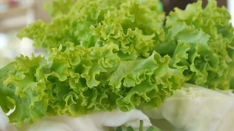 Close up on green letture. Stock Footage 100628214