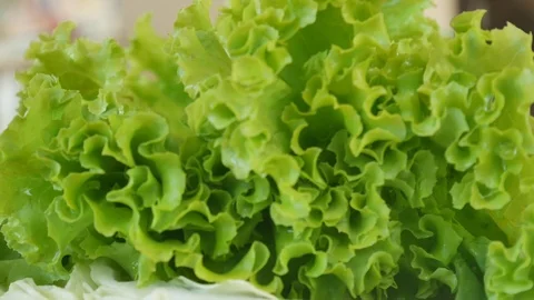 Close up on green letture. Stock Footage 100630107