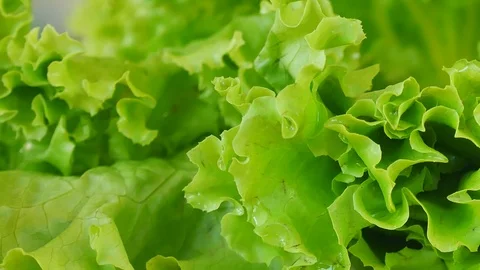 Close up on green letture. Stock Footage 100630823