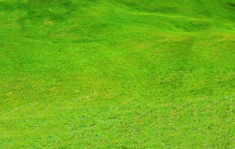 Close up of green meadows on the hill Stock Photos