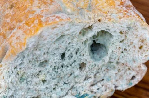 Close-up of green mold growing inside the air pockets of a sliced loaf of bre Stock-Fotos
