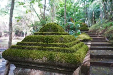 Close up green moss covered on old concrete cement pillar Stock Photos