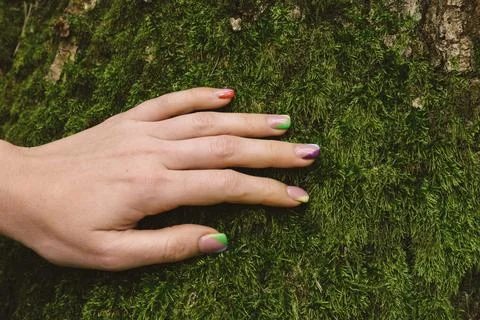 Close up green moss texture, background. Stock Photos