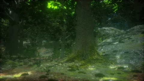 Close-up green moss on tree in the forest Stock Footage 239415922