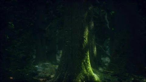 Close-up green moss on tree in the forest 스톡 일러스트