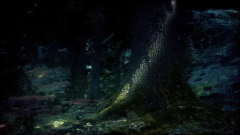 Close-up green moss on tree in the forest 스톡 일러스트