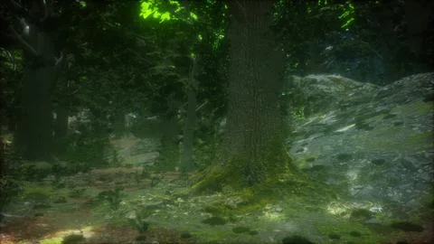 Close-up green moss on tree in the forest 스톡 일러스트