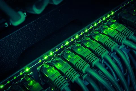 Close up of green network cables from data center connected with green patch  Stock Photos