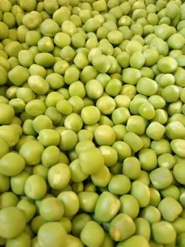 Close-up of green peas Stock Photos