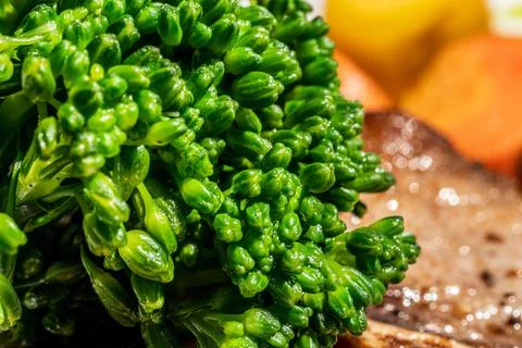 Close up green Stock Photos