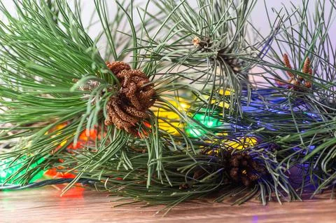 Close-up of green pine branches with brown pollen cones and colorful Christ.. Stock Photos