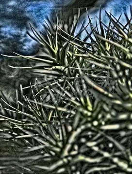 Close up of green plants Stock Photos