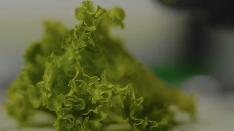Close up of green salad Stock Footage 102510165