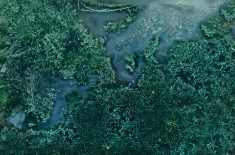 Close up of green stone as background Stock Photos